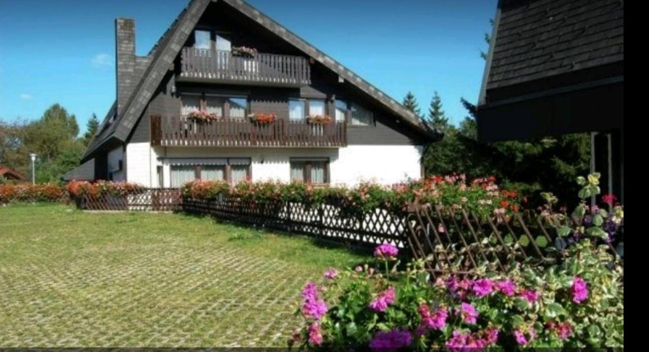 Ferienhaus-Schönwald im Herzen des Schwarzwaldes 2-Zimmer-Wohnung mit großer Terrasse App 15 Exterior foto