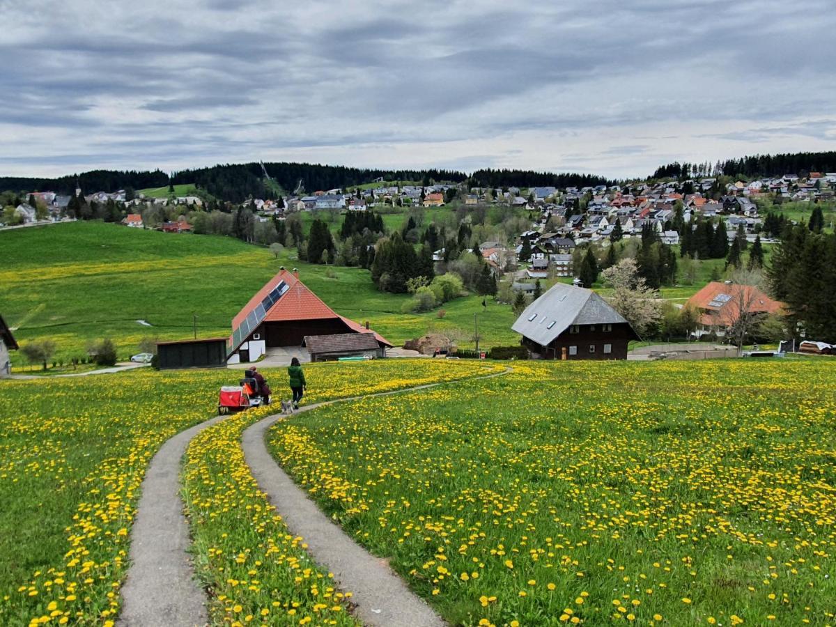 Ferienhaus-Schönwald im Herzen des Schwarzwaldes 2-Zimmer-Wohnung mit großer Terrasse App 15 Exterior foto